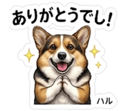 845266555