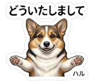 845266562