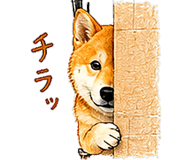 845266748