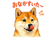 845266750
