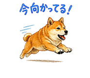 845266752