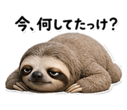 845266911