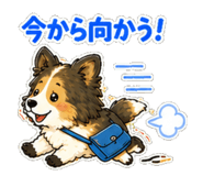 845267379