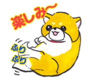 845267636