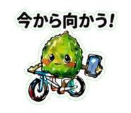 845267657
