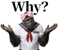 845268007