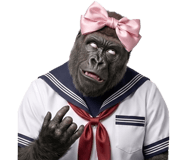 845268012