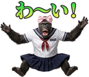 845268029