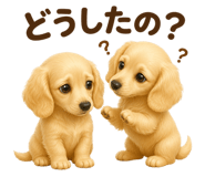 845270781