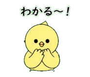 845271580