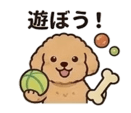 845271725