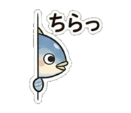 845272224