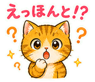 845272801