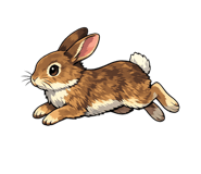 845272965