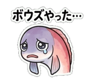 845273259