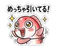 845273260