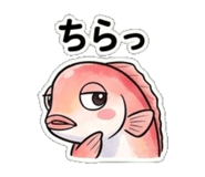 845273264