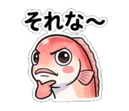 845273267