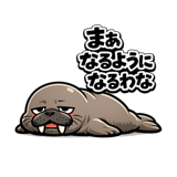 845273316