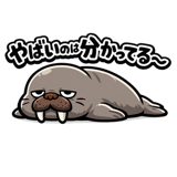845273319