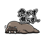 845273321