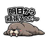 845273334