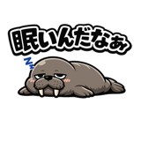 845273336