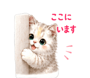 845273567