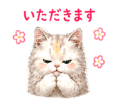 845273576