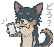 845274084