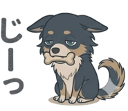 845274088