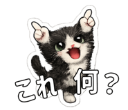 845274542