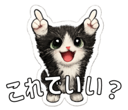 845274544