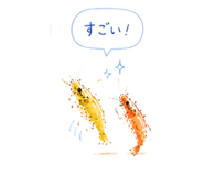 845275060