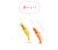 845275062