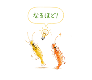 845275065
