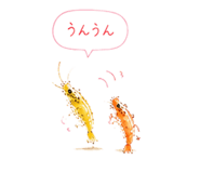 845275067