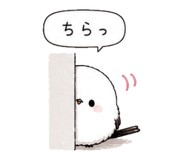 845275202