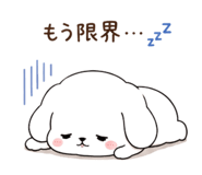 845275353