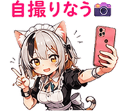 845275578