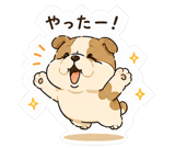 845279101