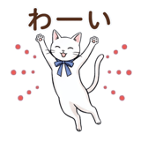845280052