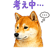 845286334