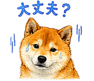 845286335