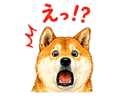 845286336