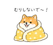 845286753