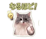 845287557