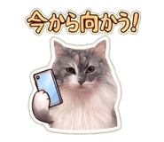 845287563
