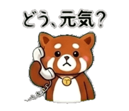 845288080