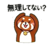 845288083